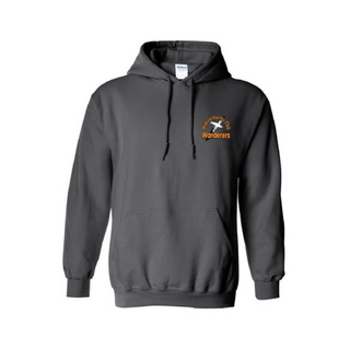 WORKWEAR, SAFETY & CORPORATE CLOTHING SPECIALISTS Men's Fleecy Hoodie (Inc Logo on Back & LHS)