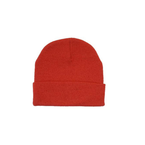 WORKWEAR, SAFETY & CORPORATE CLOTHING SPECIALISTS Arcylic Beanie