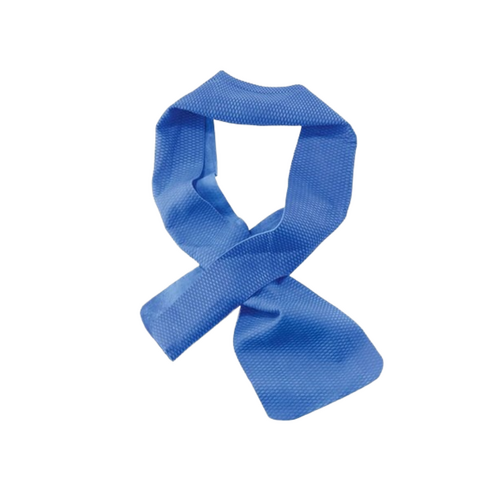WORKWEAR, SAFETY & CORPORATE CLOTHING SPECIALISTS Ergodyne Evaporative Cooling, Band, Blue One Size