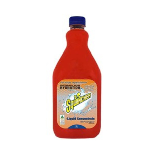 WORKWEAR, SAFETY & CORPORATE CLOTHING SPECIALISTS - Concentrate - 2L (Orange)