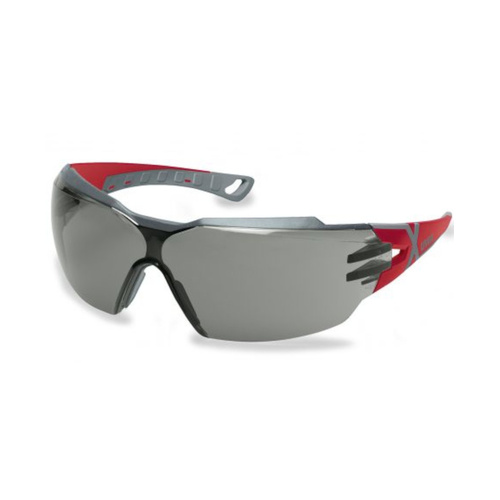 WORKWEAR, SAFETY & CORPORATE CLOTHING SPECIALISTS pheos cx2 red/grey, grey 14% sv THS lens