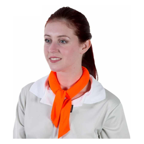 WORKWEAR, SAFETY & CORPORATE CLOTHING SPECIALISTS - Kool Tie-Orange-Micromesh