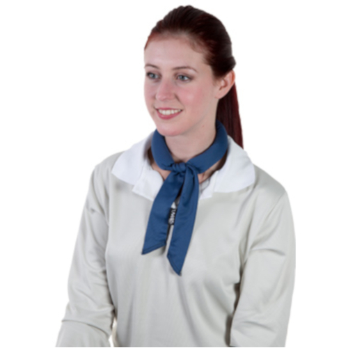 WORKWEAR, SAFETY & CORPORATE CLOTHING SPECIALISTS Kool Tie Micro Mesh