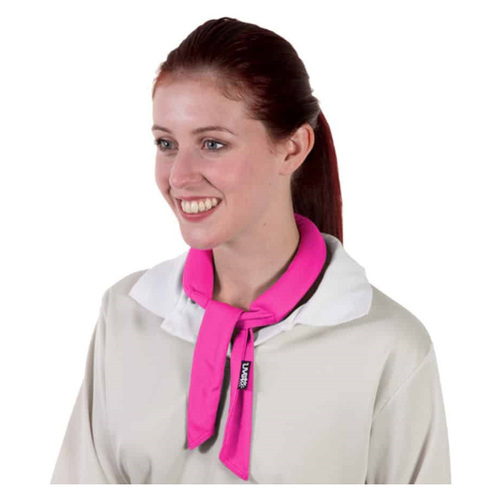 WORKWEAR, SAFETY & CORPORATE CLOTHING SPECIALISTS Kool Tie Micro Mesh-Pink-One Size